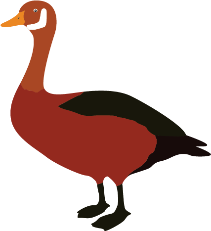 Cartoon Goose Clipart Animal Clip Arts Ngycd6 Clipart - Clip Art (508x508)