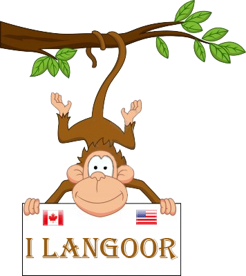 Profile Image Of Itlangoor - False Monkey Farts Double Scented Soy Wax Melts - Wax (356x400)
