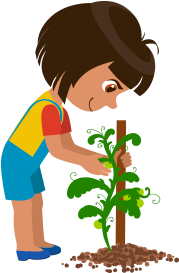 Vine - Ways Of Taking Care Of Plants Clip Art (400x400)