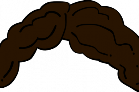Black Hair Clipart Wig - Black Hair (450x300)