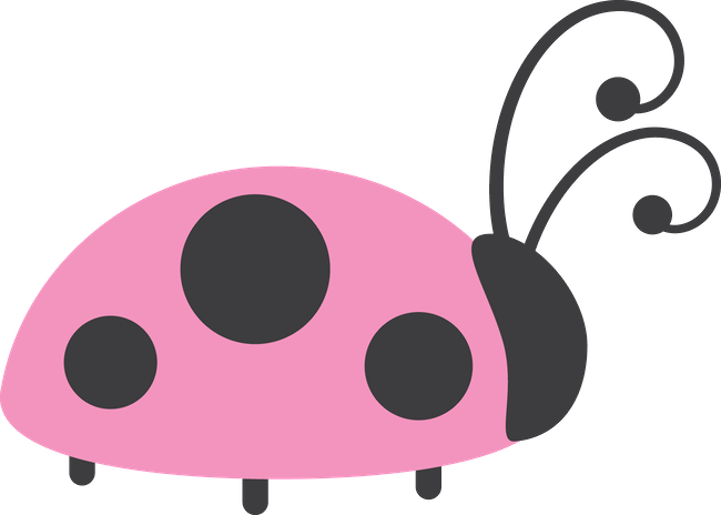 Joaninhas - Minus - Ladybug (650x464)