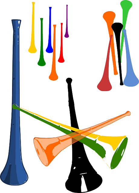 Trumpet Vuvuzela, Horn, Lepatata Mambu, Plastic, Trumpet - Types Of Musical Horns (460x640)