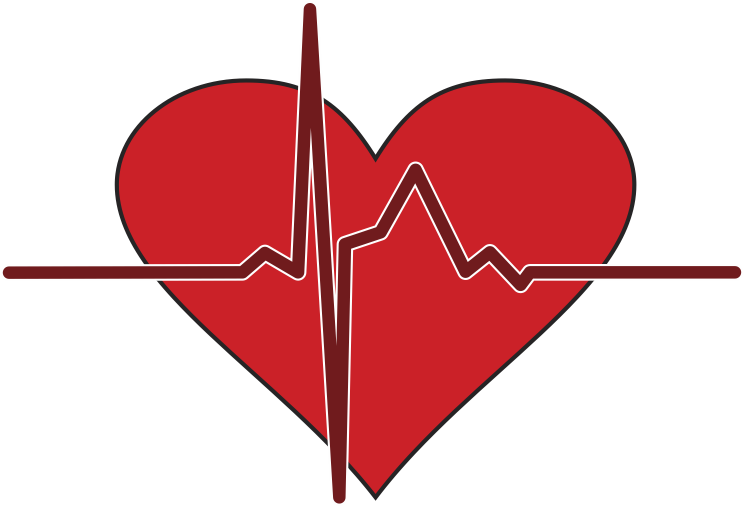 400,000 People Die Each Year From Sudden Cardiac Arrest - Cardiopulmonary Resuscitation (744x506)