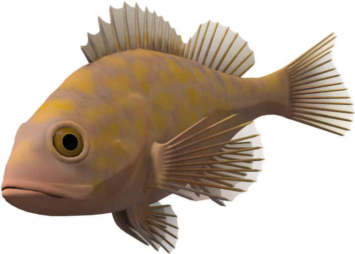 Ocean Fish Png Image - Transparent Background Transparent Fish (1024x639)