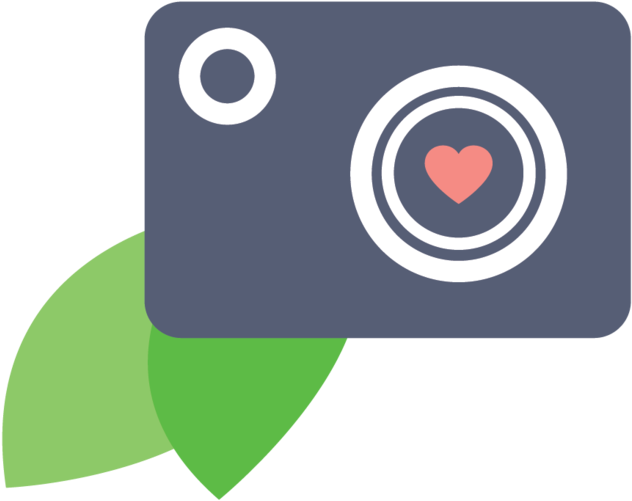 Logo Design For Dillon Phantharangsy Photography - Logo Design For Dillon Phantharangsy Photography (1000x911)