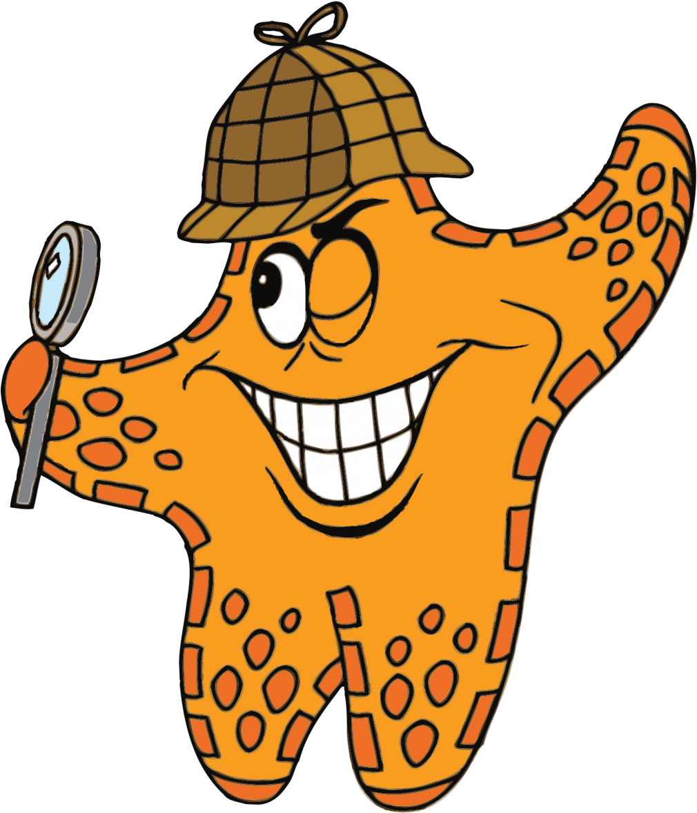 Have You Been On A Recent Classroom Field Trip To West - Water Star (1011x1200)