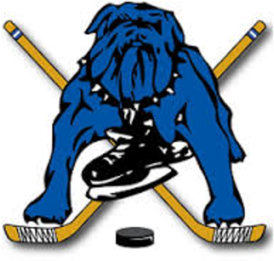 Bulldogs Hockey Chicago (800x534)