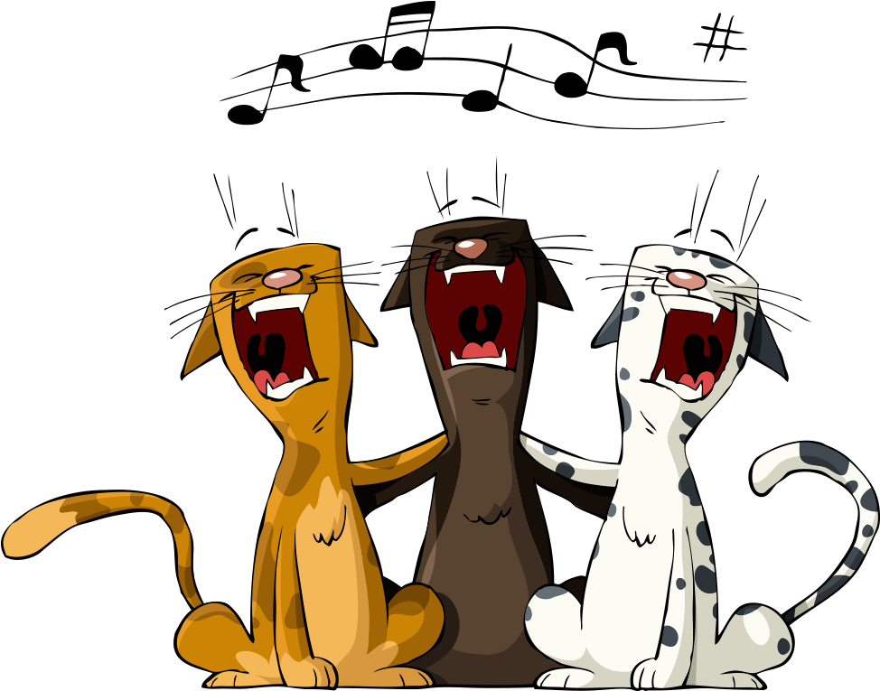 Cat Kitten Dog Clip Art - Cat Kitten Dog Clip Art (1000x1000)