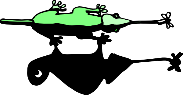 Top View Of A Chameleon (600x314)