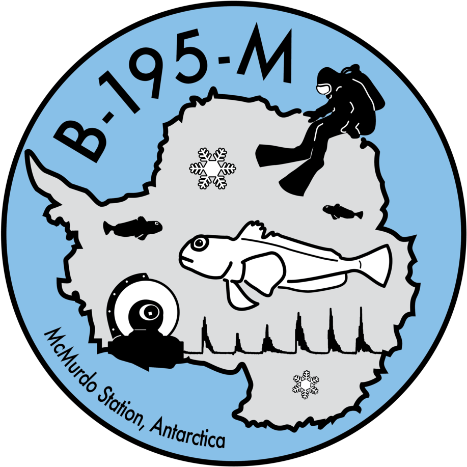 B195m Logo 2017 Final - Colegio Tierra Del Fuego (1000x988)