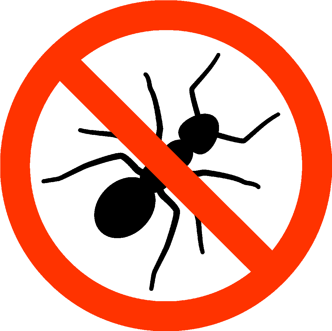 Well As Parts Of Polynesia And Remote Islands Of The - Covent Garden (1200x1600)