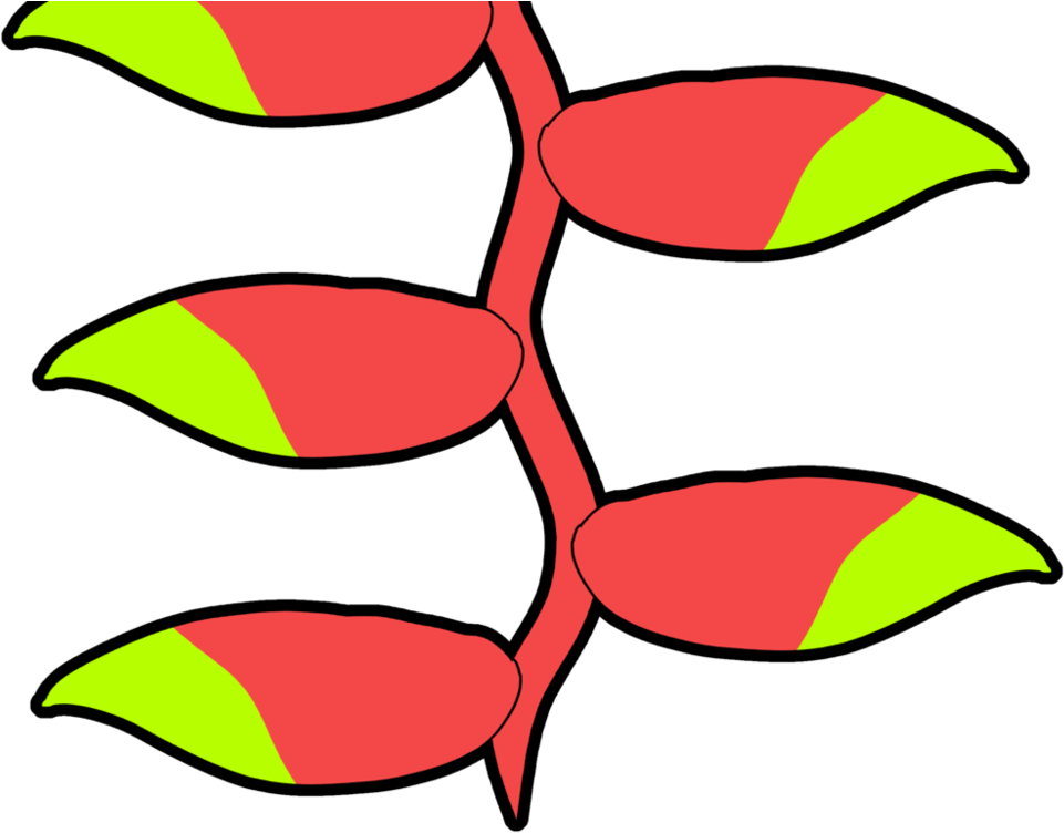 Heliconia Rostrata / - False Bird Of Paradise (999x799)