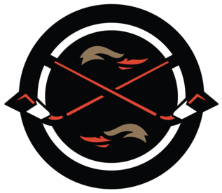 Anaheim Ducks - Sb Nation Nhl Logos (400x320)