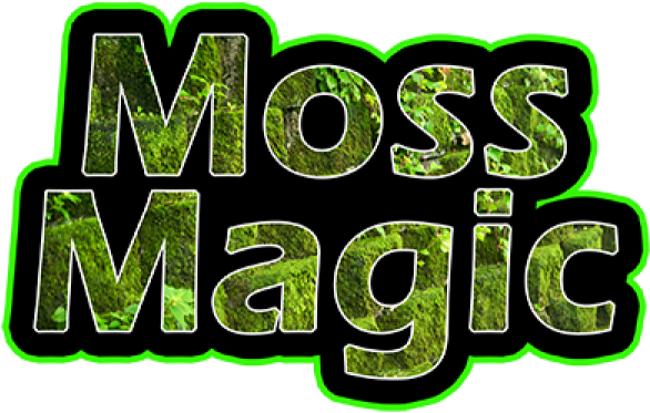 Moss, Algae & Mould Remover 5l - Algae (600x600)