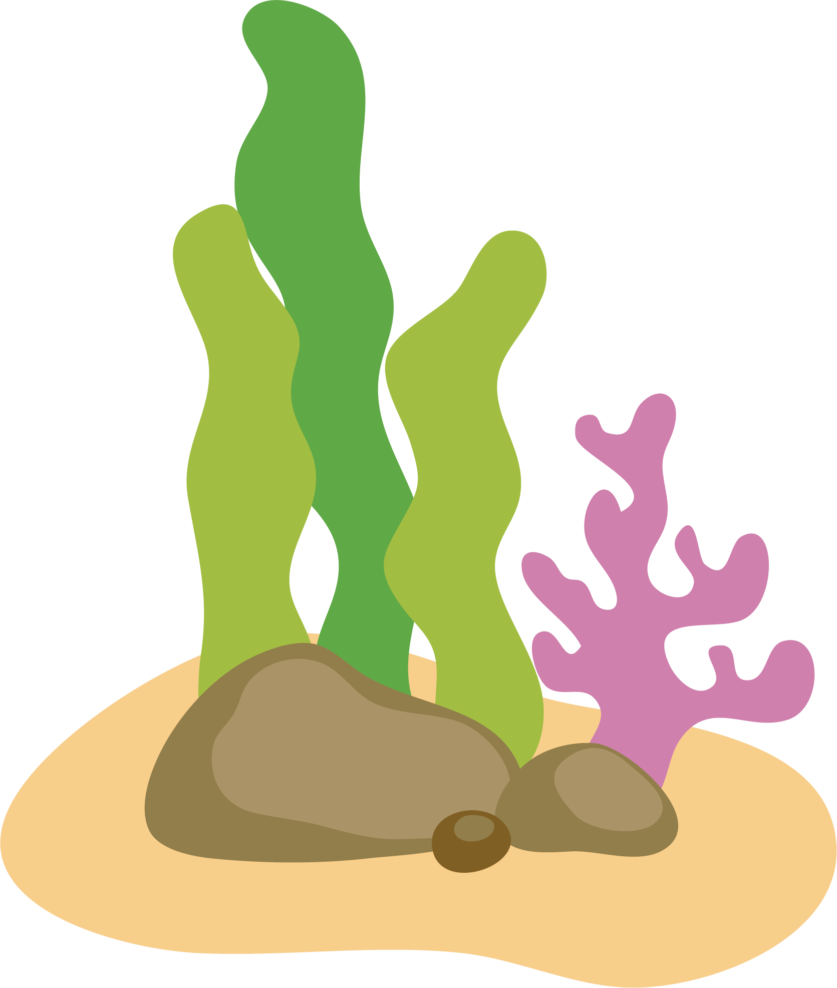 Euclidean Vector Algae Edible Seaweed - Cartoon Seaweed Png (1671x1973)