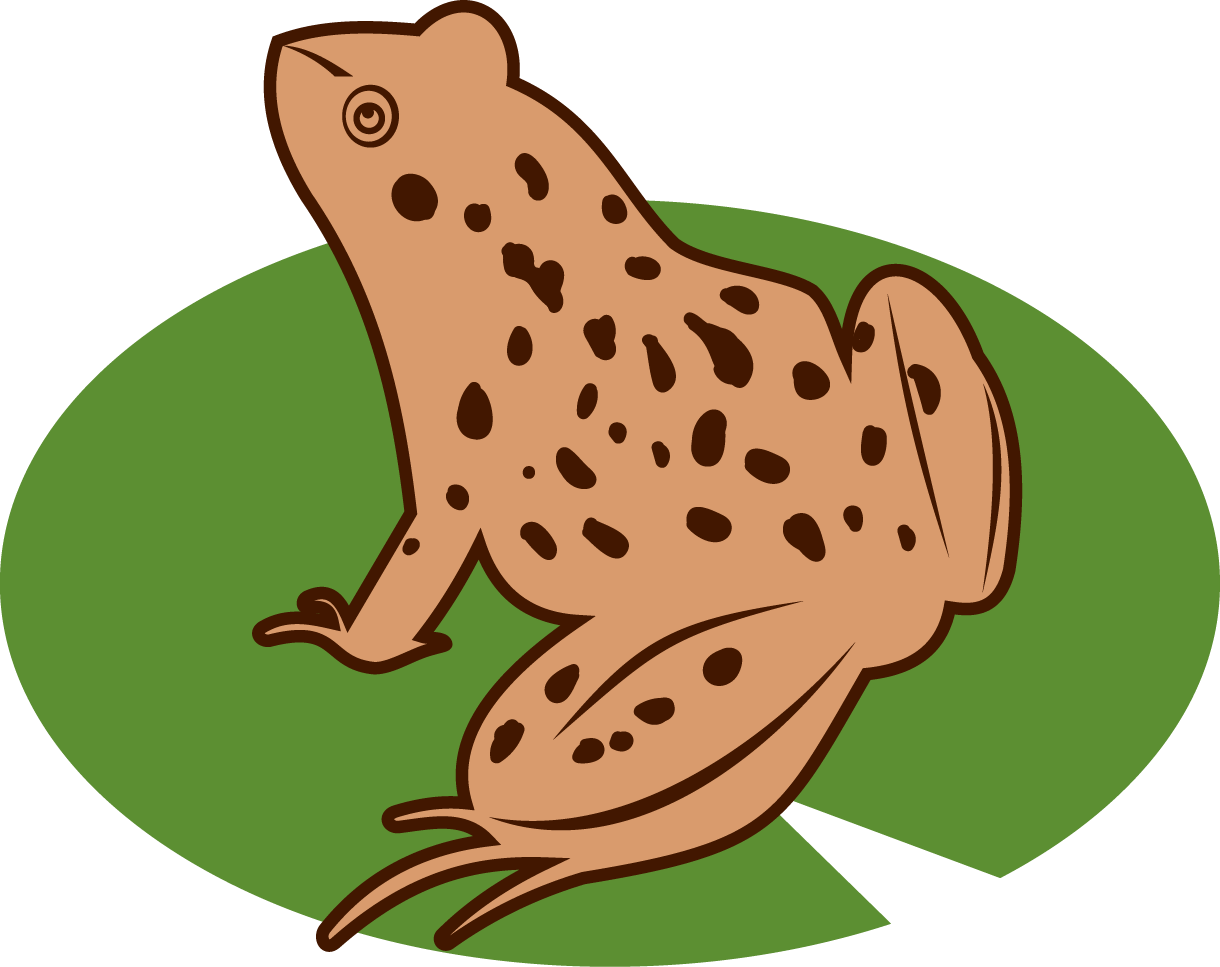 Frog Icon - Frog (1220x967)