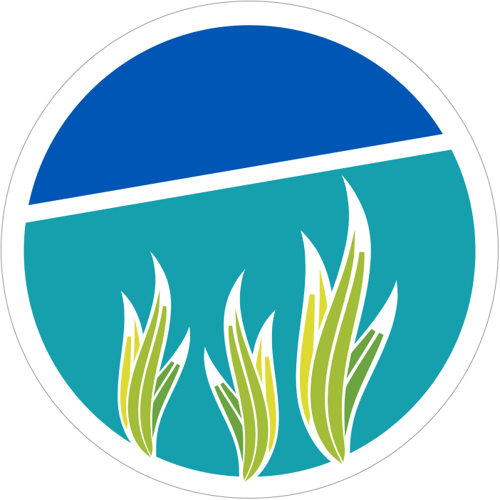 What Is It For - Camera Icon (702x702)