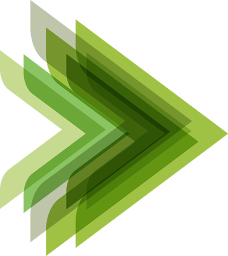 Environmental Awareness, Transparency And Community - Delta Galil Logo (447x501)