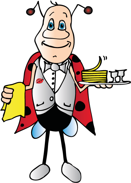 Illustration Mascotte Accueillo Le Réseau Cocci - Cartoon (595x726)