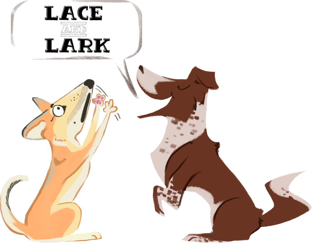 Lace And Lark - Lace And Lark (1000x780)