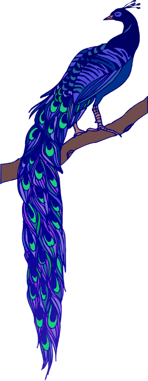 There Is 51 Free Peacock Free Cliparts All Used For - There Is 51 Free Peacock Free Cliparts All Used For (293x750)