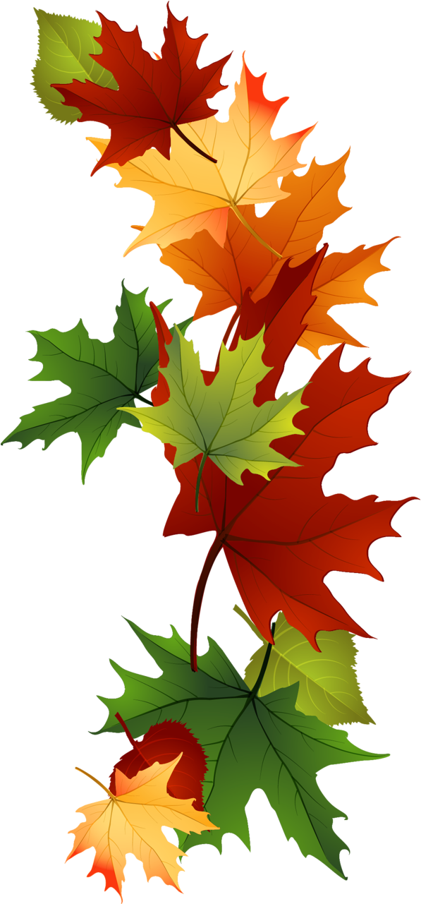 Leaf Fall Leaves Clip Art Beautiful Autumn Clipart - Vermont-laub-tasse Tasse (672x1328)