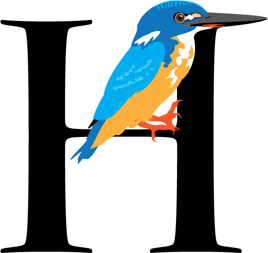 Half-collared Kingfisher Hoefler Titling - Mountain Bluebird (960x960)