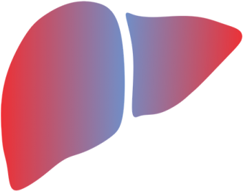 Ensuring The Safety Of Drug Therapies By Leveraging - Toxicology (450x277)