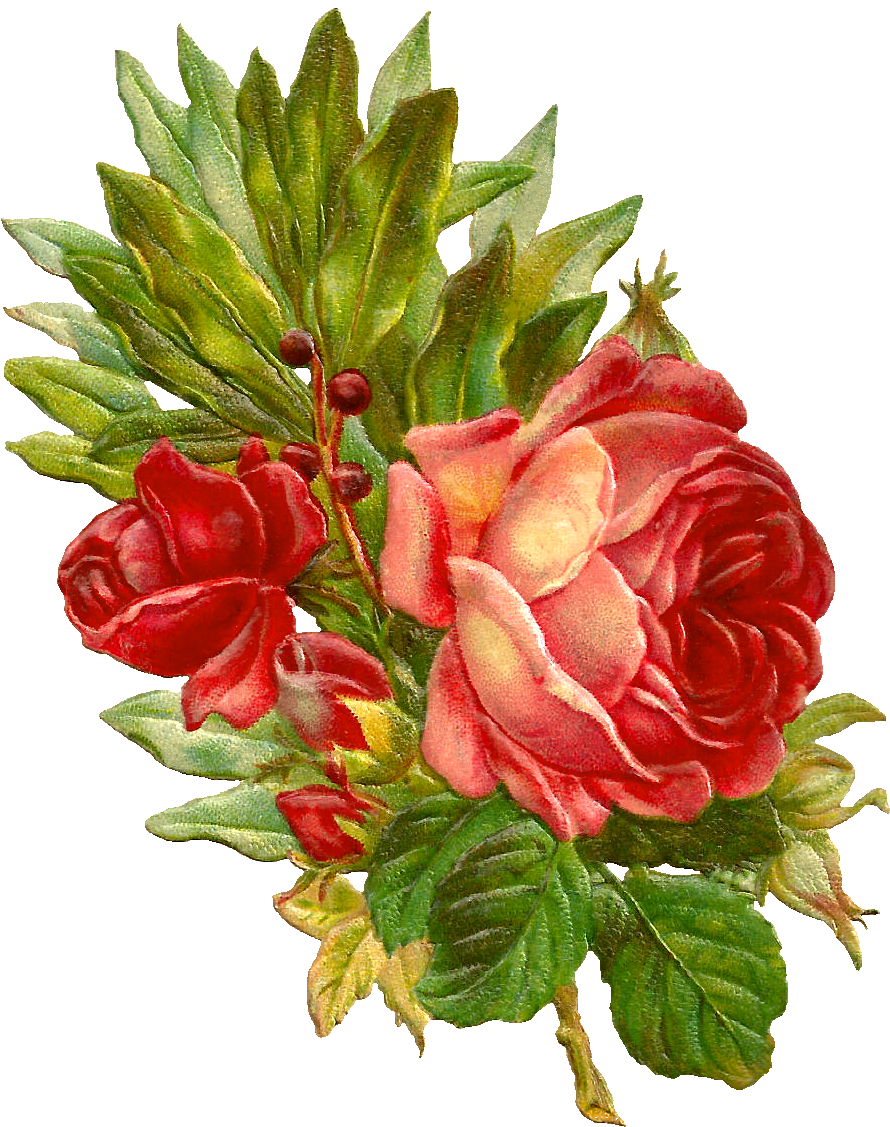 This Is An Amazingly Beautiful Digital Flower Graphic - Digital Rose Flower (1052x1238)