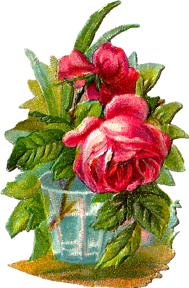 These Are Charming Digital Rose Images Of Two Pink - Garden Roses (494x690)