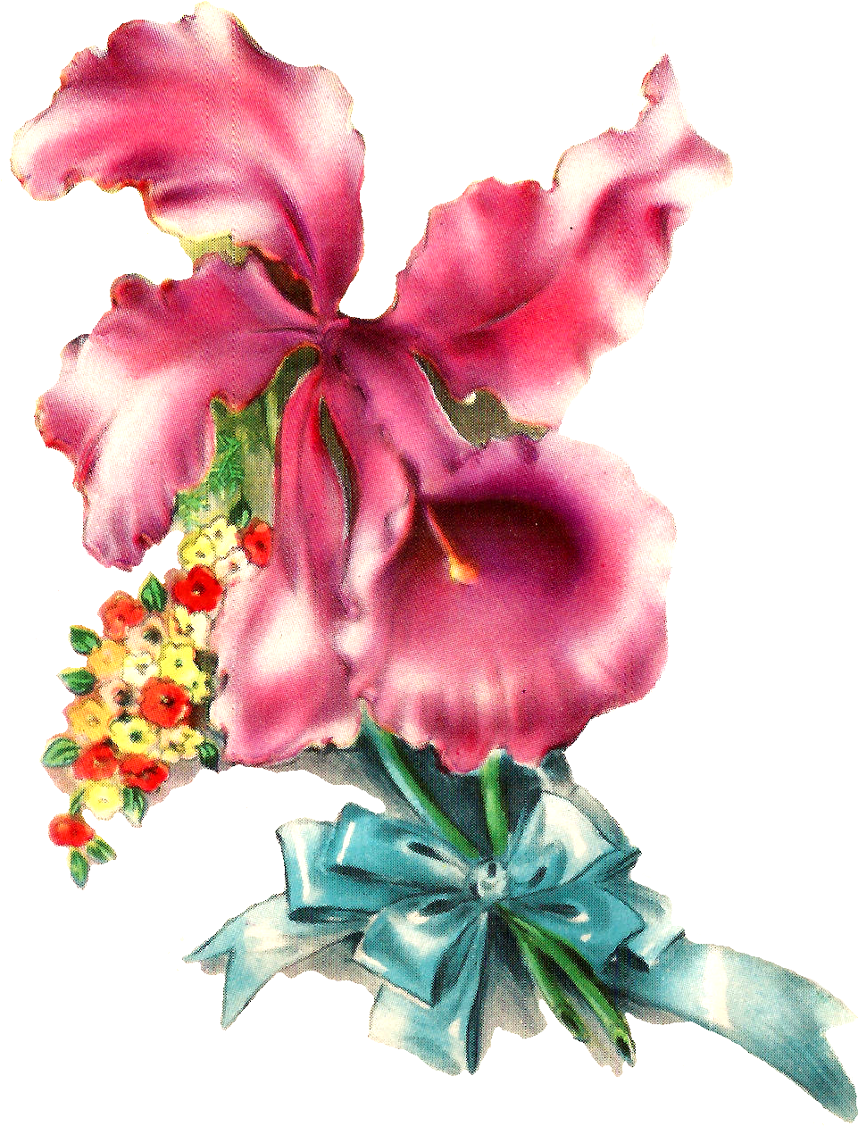 Orchid Flower Image Illustration Botanical Art - Birthday Cards For Friends (1140x1398)