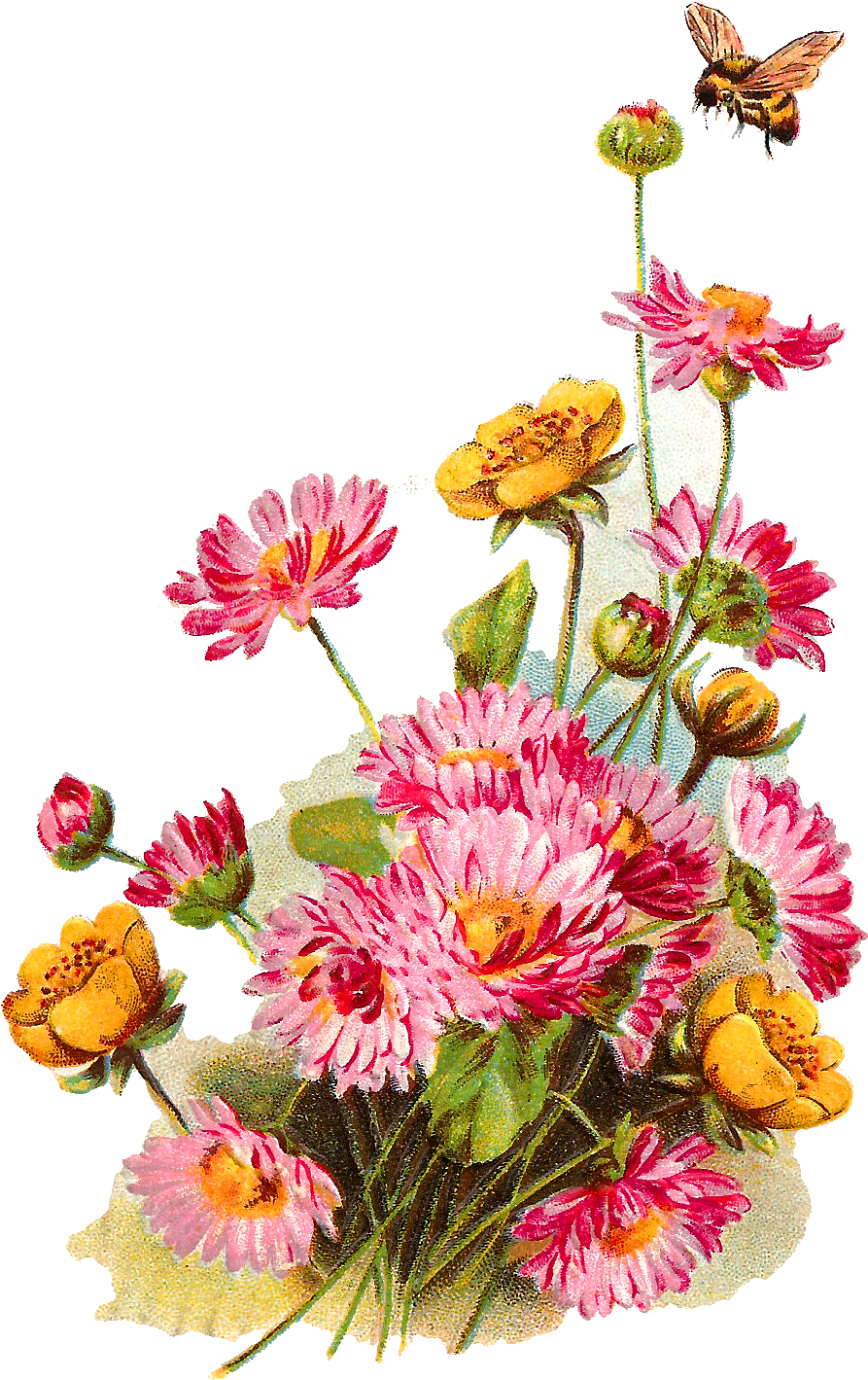 The Second Digital Flower Image Is Of A Bunch Of Pink - Wildflower (958x1487)