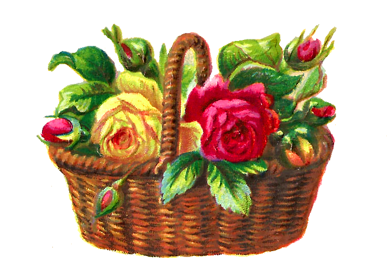 Digital Flower Basket Image - Illustration (796x573)