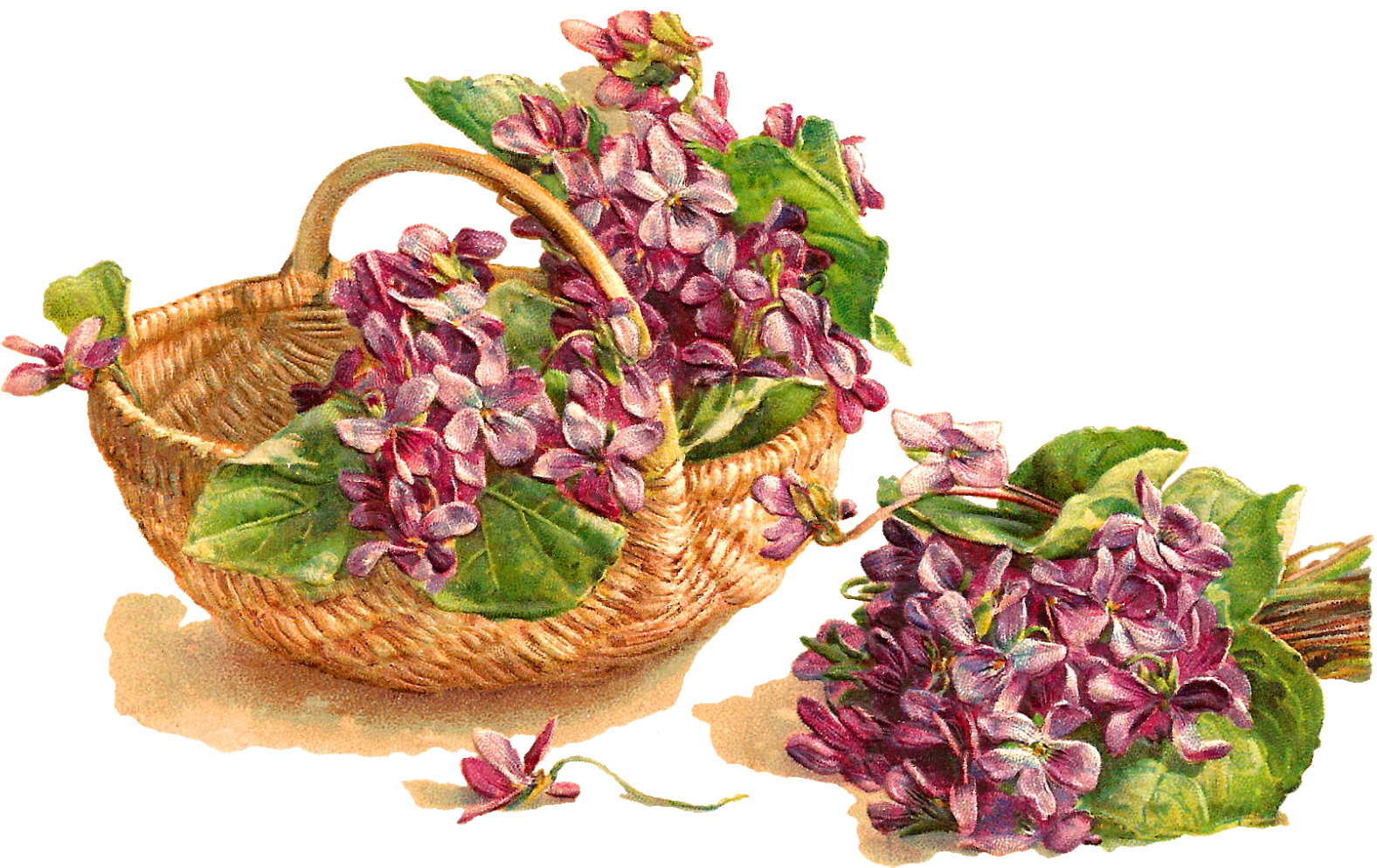 Flower Violet Basket Download Image - Bouquet (1600x1018)