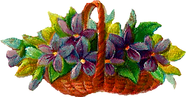 Flower Basket Illustration - Bouquet (492x320)