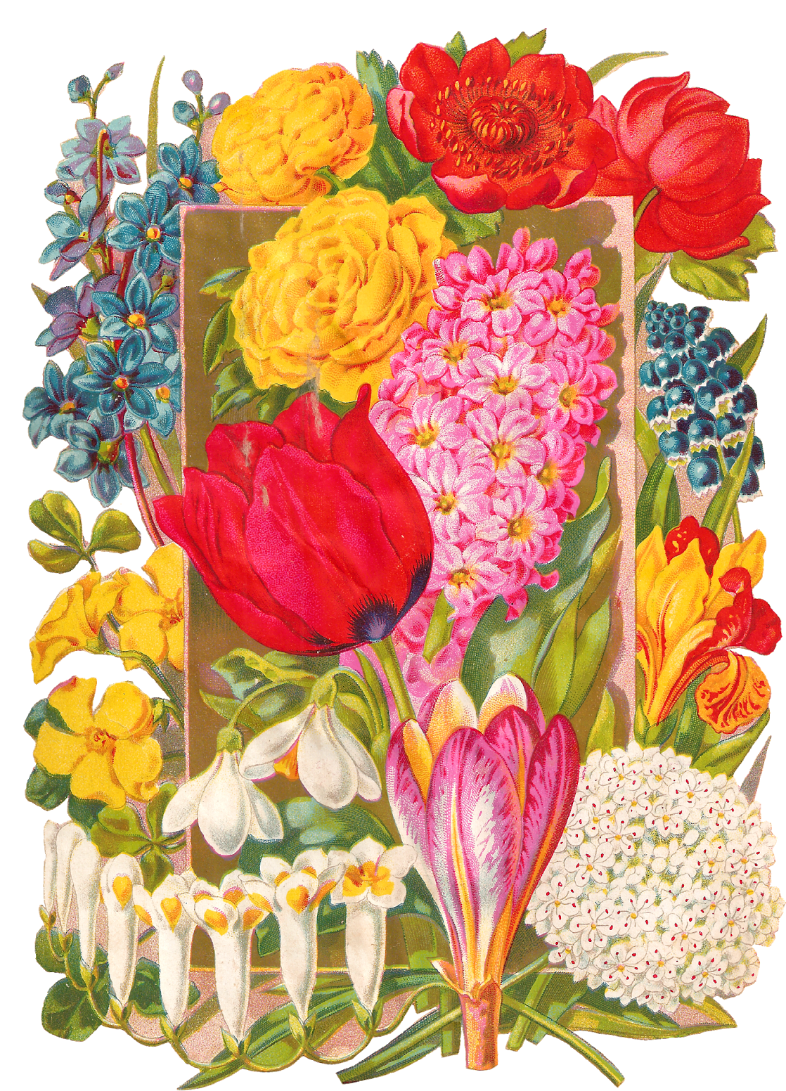 This Very Pretty Digital Flower Clip Art Would Make - This Very Pretty Digital Flower Clip Art Would Make (1147x1600)