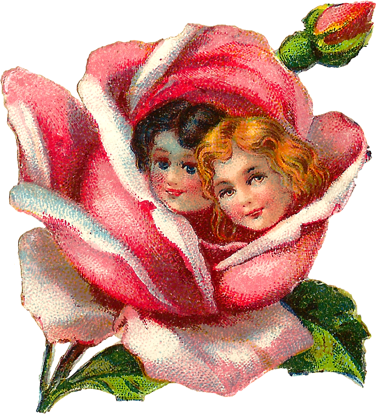 Digital Flower Children Image Downloads - Garden Roses (1437x1600)