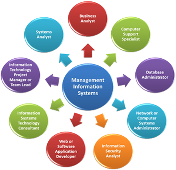Management Information System Consultancy - Career Growth In Bpo (800x580)