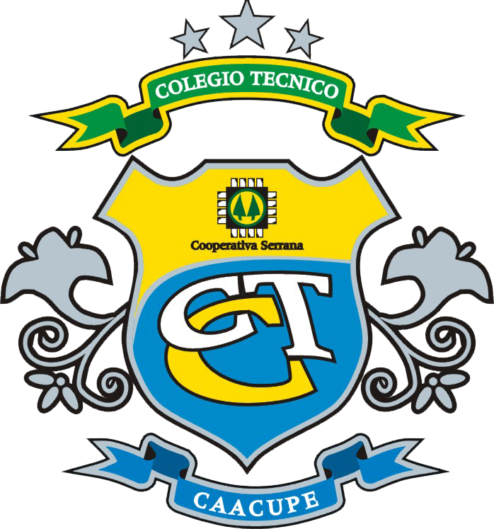 Historia Del Colegio Técnico Privado Caacupé Escudo - Colegio Tecnico Caacupe Logo (698x747)