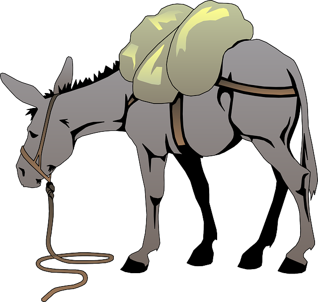 Donkey, Load, Animal, Tail, Mammal, Pack, With - Donkey Clip Art (640x607)