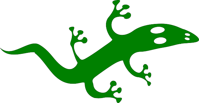 Reptile, Lizard, Cartoon, Animal, Iguana, Dragon - Custom Gecko Shower Curtain (640x331)