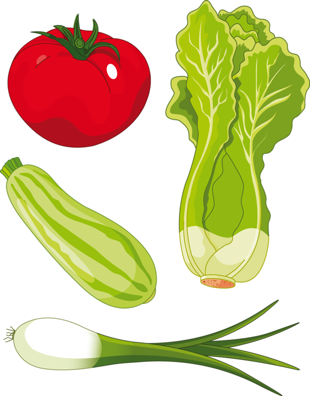 Romaine Lettuce Salad Clip Art - Romaine Lettuce Salad Clip Art (626x800)