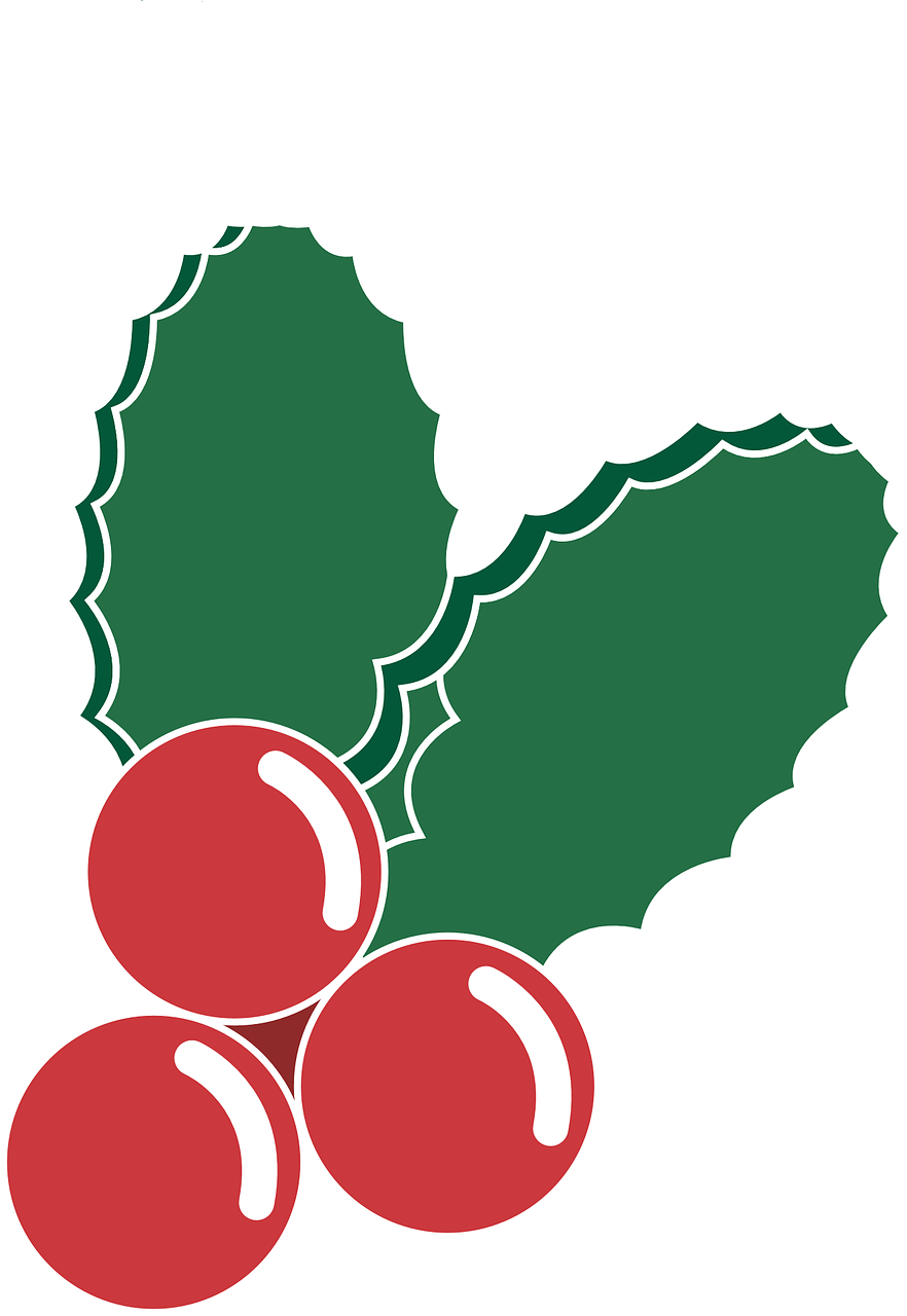 Holly Illustration Vector Png Image - Navidad Vector Png (882x1280)