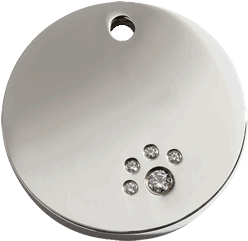 Red Dingo Diamante Stainless Steel Dog Tag (458x458)