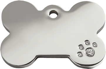 Dog Bone Dog Tag (458x458)