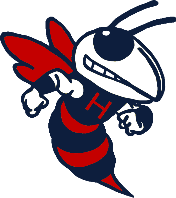 Hundred Logo - Hundred Hornets (924x1037)