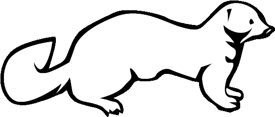Ferret Clipart Mink - Mink Clipart (612x792)