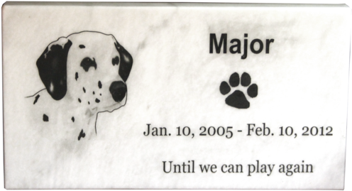 Cafepress Add Dalmatian Photo Throw Pillow (599x383)