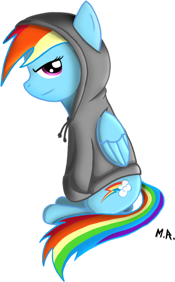 Chibi95 305 166 Rainbow Dash In A Hoodie By Shadowninja976 - Rainbow Dash (571x918)