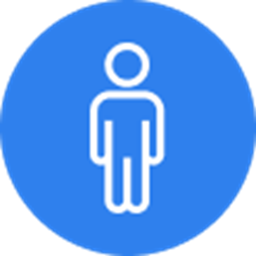 Adult Diamond Value Day - Diamond Bus (500x500)